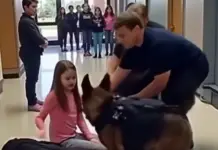 Perro K9 se niega a obedecer — Lo que descubre sobre el estudiante deja a todos en shock