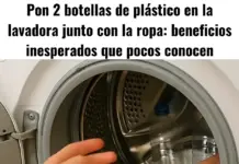 Pon 2 botellas de plástico en la lavadora junto con la ropa: beneficios inesperados que pocos conocen.