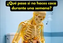 ¿Qué pasa si no haces caca durante una semana?