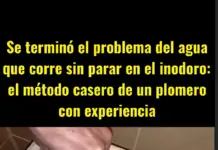 Se terminó el problema del agua que corre sin parar en el inodoro: el método casero de un plomero con experiencia