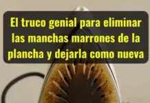 El truco genial para eliminar las manchas marrones de la plancha y dejarla como nueva.