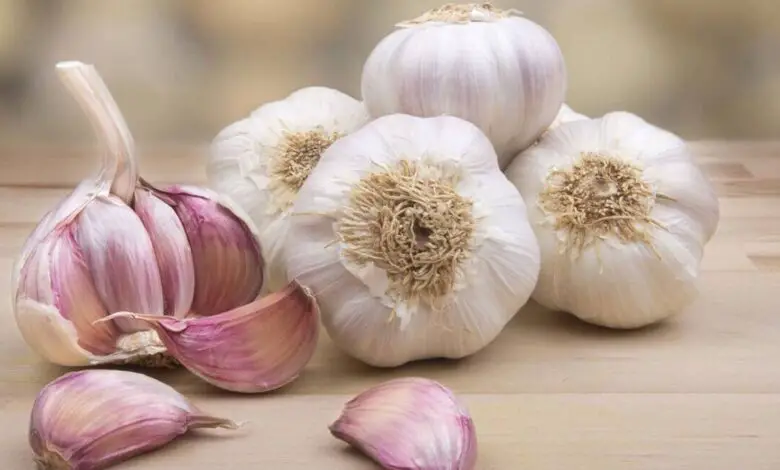 El Ajo: Un Antibiótico Natural para Combatir Bacterias e Infecciones 1