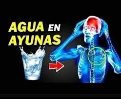 Cuando bebes agua en ayunas… Esto es lo que realmente sucede en tu cuerpo 1